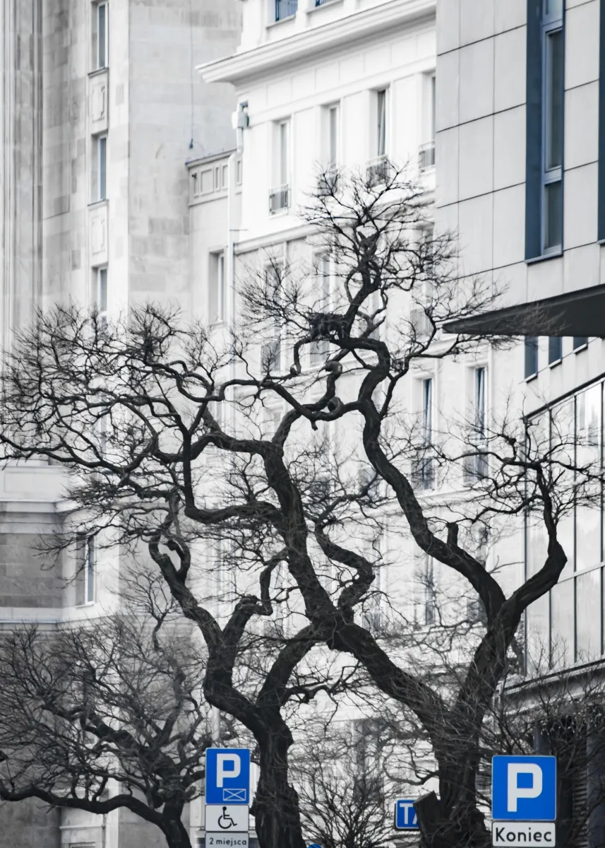 Vertical monochrome field in pale gray tones, with stark contrast, hard edges, and a dense field